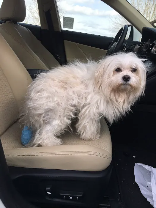 Otterkill Animal Hospital Picture 5