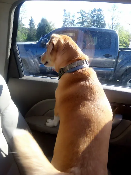 Otterkill Animal Hospital Picture 8