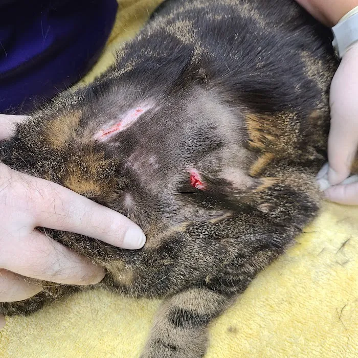 Otterkill Animal Hospital Picture 7