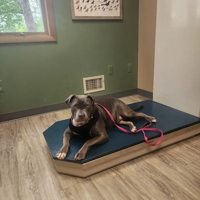 Otterkill Animal Hospital Picture 9