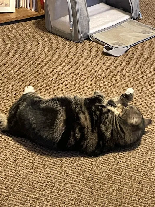 Otterkill Animal Hospital Picture 3