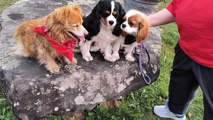 Otterkill Animal Hospital Picture 4