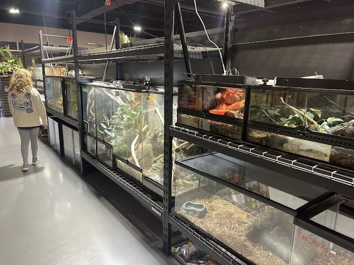 Frog Family Reptile Shop Picture 5