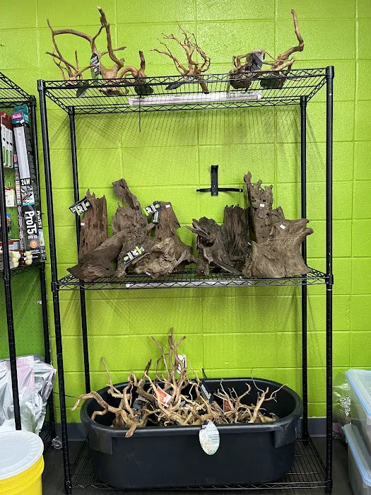 Frog Family Reptile Shop Picture 4