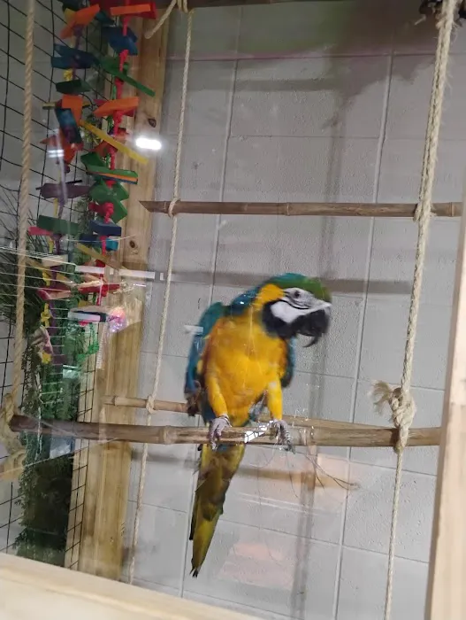 Frog Family Reptile Shop Picture 1