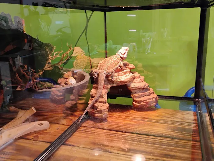 Frog Family Reptile Shop Picture 2