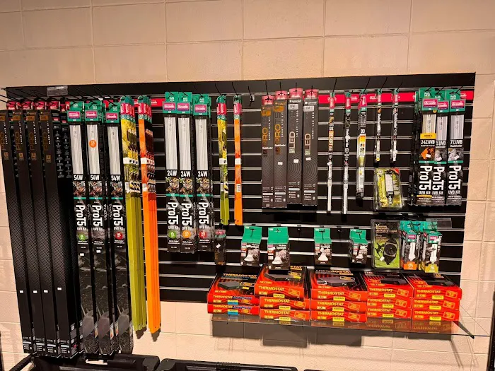 Frog Family Reptile Shop Picture 8