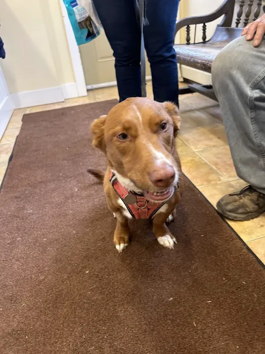 Montgomery Veterinary Hospital Picture 2