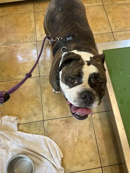 Montgomery Veterinary Hospital Picture 3