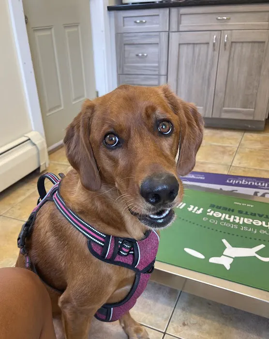 Montgomery Veterinary Hospital Picture 5