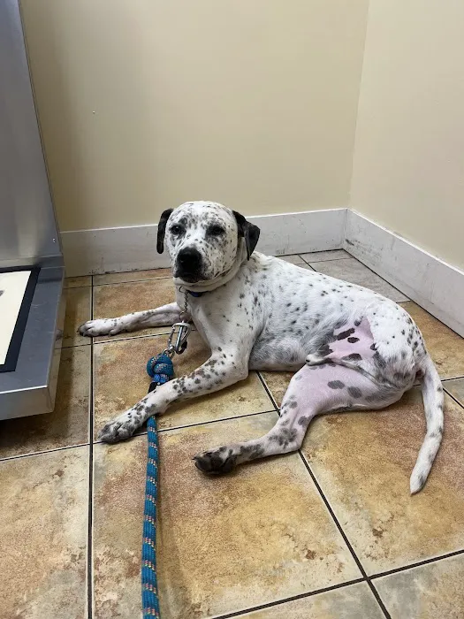 Montgomery Veterinary Hospital Picture 6