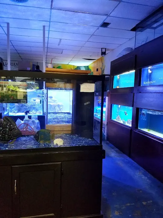 Aquarium Shoppe Picture 4