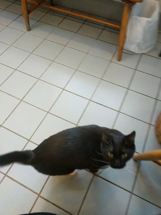 Walden Animal Clinic Picture 7