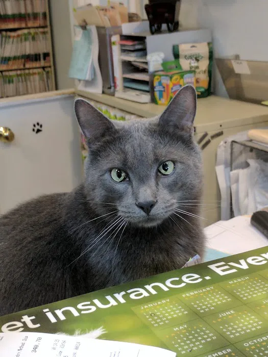 Walden Animal Clinic Picture 2