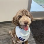 Petco