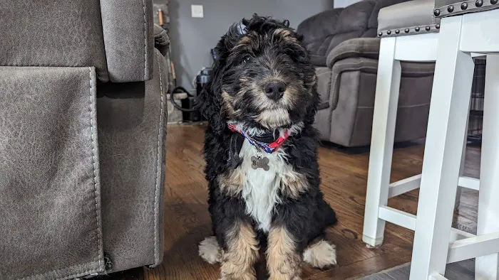 Hamptonburgh Animal Hospital Picture 9