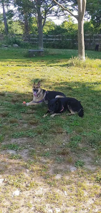 Hamptonburgh Animal Hospital Picture 1