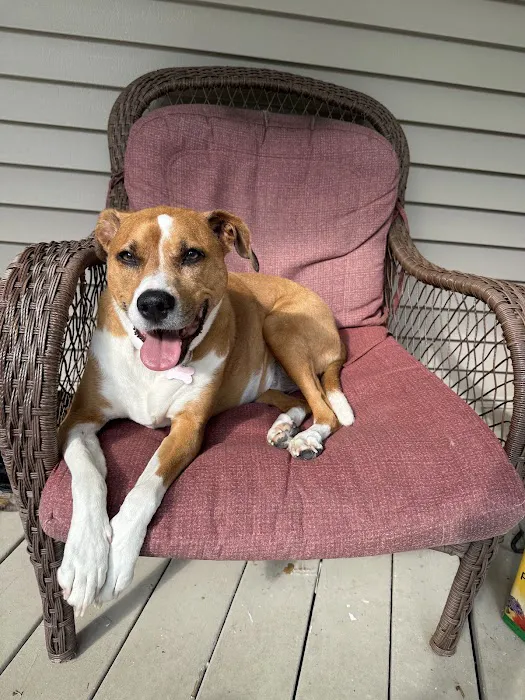 Hamptonburgh Animal Hospital Picture 2