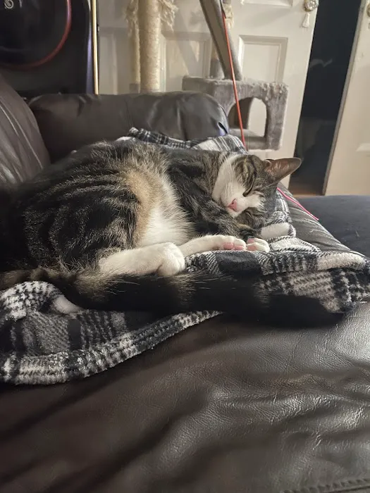 Hamptonburgh Animal Hospital Picture 8