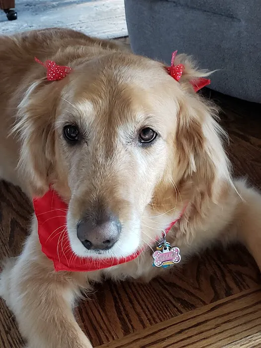 Hamptonburgh Animal Hospital Picture 6