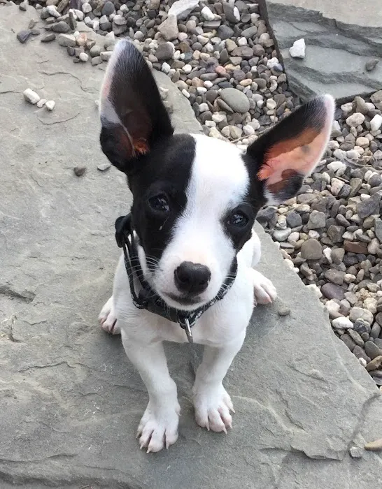 Hamptonburgh Animal Hospital Picture 10