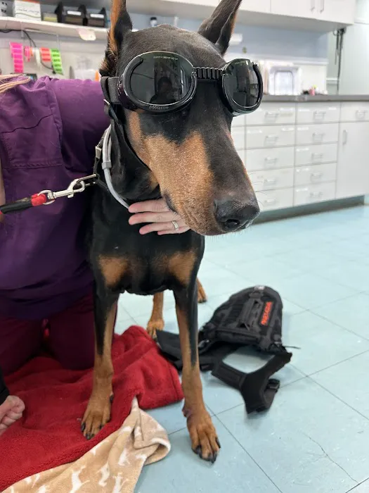 Hamptonburgh Animal Hospital Picture 3