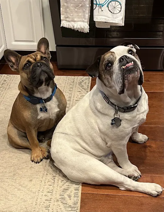 Hamptonburgh Animal Hospital Picture 7