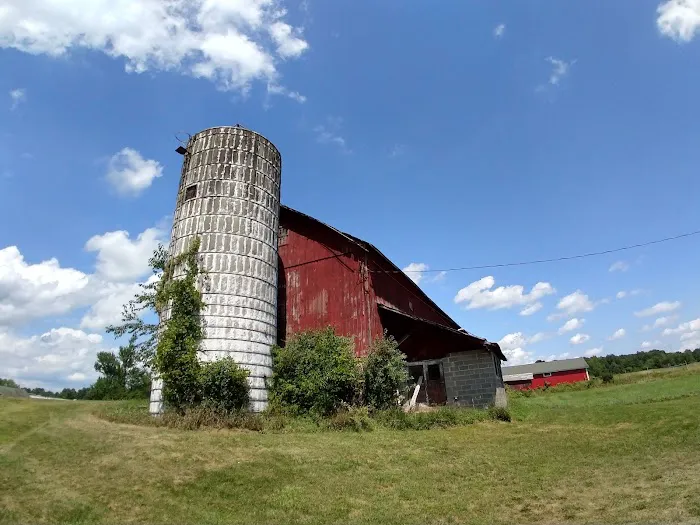 Hamptonburgh Animal Hospital Picture 5