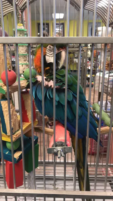 Just For Parrots Picture 1