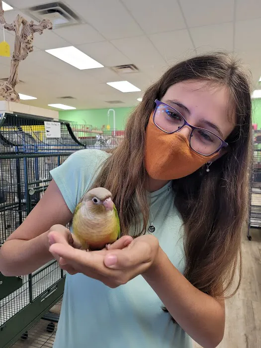 Just For Parrots Picture 2