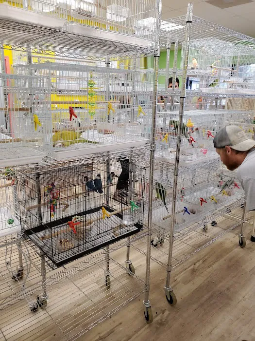 Just For Parrots Picture 8