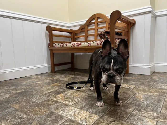 Earth Angels Veterinary Hospital Picture 3