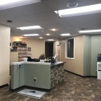 Earth Angels Veterinary Hospital ico