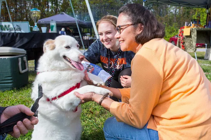 Earth Angels Veterinary Hospital Picture 5