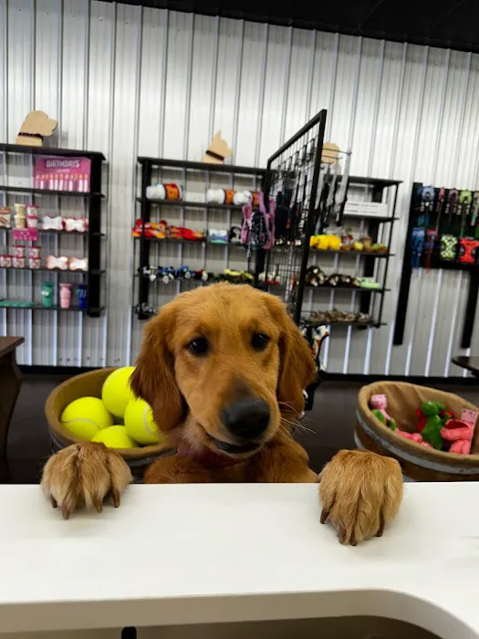 Winston and Friends Picture 7