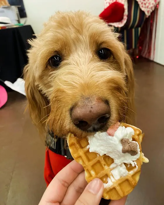 Winston and Friends Picture 2