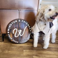 Winston and Friends ico