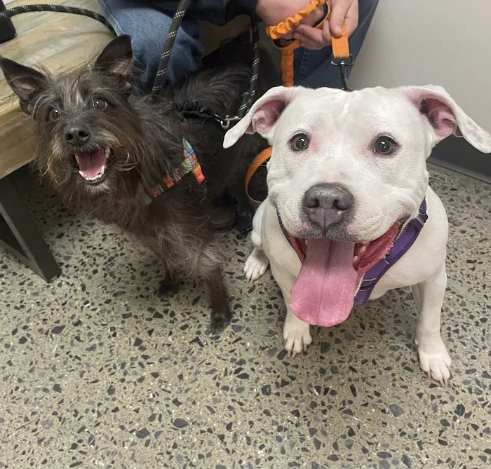 Vetco Total Care Animal Hospital Picture 3