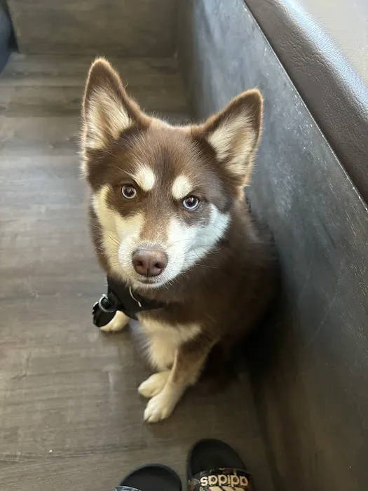 Vetco Total Care Animal Hospital Picture 9