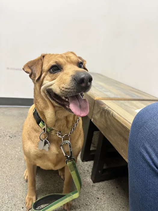 Vetco Total Care Animal Hospital Picture 4