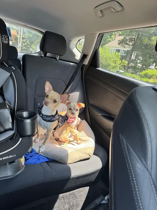 Vetco Total Care Animal Hospital Picture 1