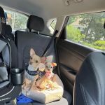 Vetco Total Care Animal Hospital