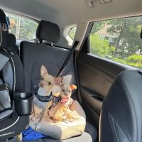 Vetco Total Care Animal Hospital ico