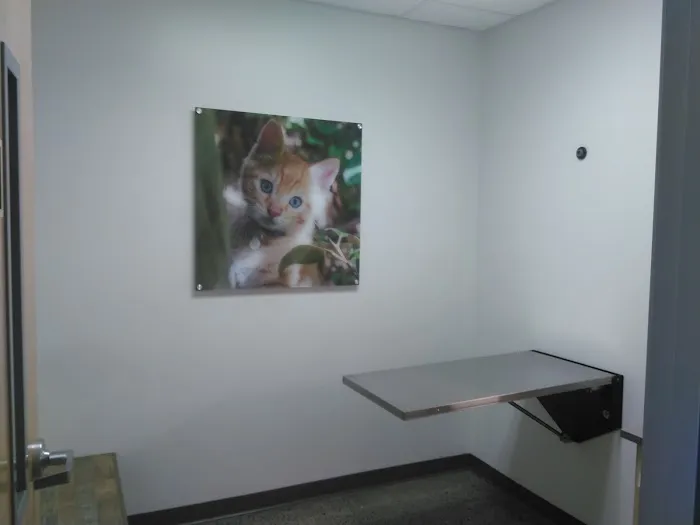 Vetco Total Care Animal Hospital Picture 10