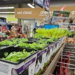 Petco