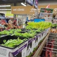 Petco ico