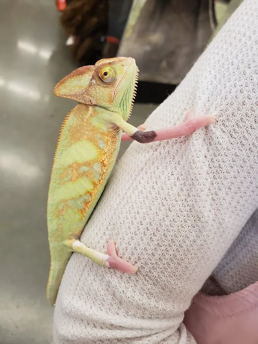 Petco Picture 4