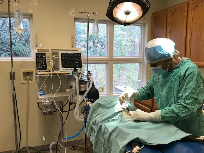 Airport Veterinary Center Picture 3