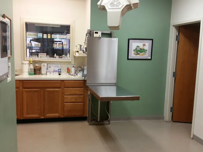 Airport Veterinary Center Picture 7