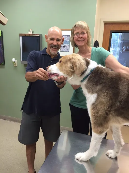 Airport Veterinary Center Picture 4